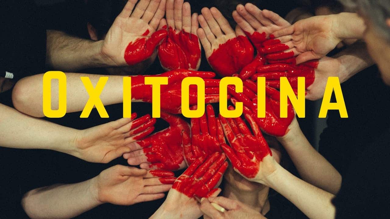 oxitocina - hormonul atasamentului